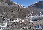 （2020珠峰高程测量）（1）2020珠峰高程测量登山队抵达海拔6500米的前进营地 - 西安网