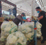 探访河北新发地：可日供果蔬8.5万吨 保北京“菜篮子”10天需求 - 西安网