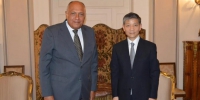 埃及外长会见中国驻埃及大使：中方抗疫的成功经验值得各国学习 - 西安网