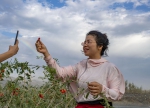 “90后”湘妹子：我在新疆带货助农 - 西安网