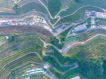 无人机拍摄天宝梯彩农园核心区 - 西安网