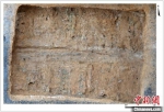 M1外藏椁车马器分布情况。西安市文物保护考古研究院供图 - 陕西新闻