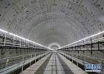 国内最大直径越海盾构隧道——汕头海湾隧道贯通 - 西安网