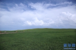 【幸福花开新边疆】北疆亮丽风景线的绿色生态新图景 - 西安网