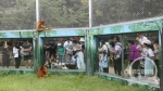 秦岭野生动物园单日接待游客近2万人次 创暑期之最 - 西安网