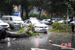 台风“美莎克”来势汹汹 吉林迎疾风暴雨 - 西安网