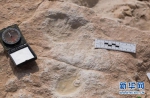 （国际·图文互动）考古学家在沙特发现距今12万多年前的人类脚印 - 西安网