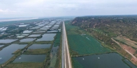 【中国梦·黄河情】生态保护和高质量发展齐头并进 洽川黄河湿地生机无限 - 西安网