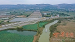 【中国梦·黄河情】生态保护和高质量发展齐头并进 洽川黄河湿地生机无限 - 西安网