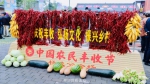 2020年中国农民丰收节杨凌会场活动盛大开幕 - 西安网