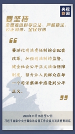 掷地有声！推进全面依法治国怎么做？习近平提出这11个方面要求 - 西安网