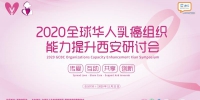 2020全球华人乳癌组织能力提升研讨会举办 60万人在线参加 - 西安网