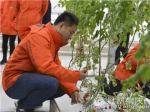 吴天龙在中东温室采摘品尝采用荷兰吊挂式无土栽培模式的串珠番茄 - 西安网