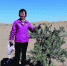在黄土高原，她“找到”了防风固沙的“它” - 西安网