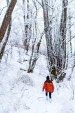 秦岭雪乡，十里风雪天涯路 - 西安网