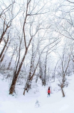 秦岭雪乡，十里风雪天涯路 - 西安网