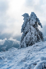 秦岭雪乡，十里风雪天涯路 - 西安网