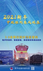 权威快报｜2021年元旦假期中欧班列预计开行超百列 - 西安网