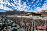 火力全开 西藏军区举行2021年首训 - 西安网
