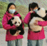 秦岭大熊猫宝宝“云庆生” 四只大熊猫宝宝全球征名 - 陕西新闻