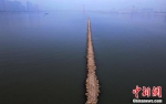 长江武汉段水位退落 江中心现“石子小路” - 西安网