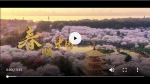 微视频 | 春暖中国 - 西安网