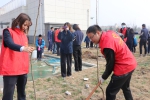沣东物业联合沣东八小及中加国际学校开展植树节活动 - 西安网