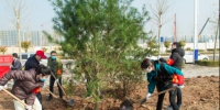 西安航空基地组织植树节活动 为航空城增绿添彩 - 西安网
