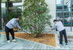 西安航空基地组织植树节活动 为航空城增绿添彩 - 西安网