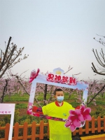 春日乐赏桃花景 - 西安网