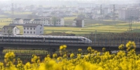 陕西发布12条春季休闲农业和乡村游精品线路 - 西安网