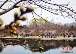 3月18日，市民和游客在北京玉渊潭公园观赏樱花。随着春暖花开，到公园踏青赏花的游客市民逐渐增多，玉渊潭公园也在做好疫情防控的基础上，将于3月20日开启春季赏花文化活动。据介绍，目前玉渊潭公园可供游客观赏的樱花达到40余个品种近3000株，成为北方地区最大的樱花观赏园之一。 中新社记者 杜洋 摄 - 西安网