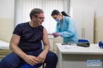 塞尔维亚总统接种中国疫苗 - 西安网