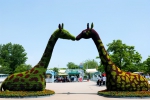 “扮靓”动物乐园，做生态环保的践行者 - 西安网