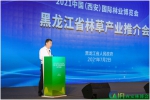 推动生态文明建设 助力林业经济发展 2021中国(西安)国际林业博览会暨林业产业峰会7月2日在西安举行 - 西安网