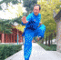 【我的全运故事】 一个追梦者的武术人生——记六运会武术冠军、中国武术八段肖关纪 - 西安网