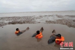 浙江台州搁浅12头领航鲸 直击救援现场 - 西安网