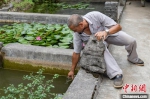 比恐龙还古老！贵州铜仁发现“水中大熊猫”桃花水母 - 西安网