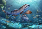 我国首次发现2.9亿年前瓣齿鲨化石 - 西安网