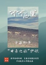 中国故事|可可西里：为藏羚羊“母亲之旅”护航 - 西安网