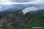 【聚焦COP15】滇中天然物种基因库：轿子山自然保护区 - 西安网