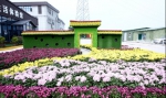 西安国际港务区第二届丝路文化菊花节开幕 - 西安网