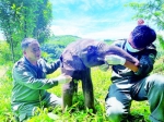 看云南，生物多样性、文化多元性之花尽情绽放 - 西安网