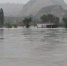 汾河山西河津段迎来57年来最大洪水 当地决定启用黄河滩地蓄滞洪水 - 西安网