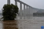 汾河山西河津段迎来57年来最大洪水 当地决定启用黄河滩地蓄滞洪水 - 西安网