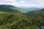 “飞阅”海南热带雨林国家公园 - 西安网