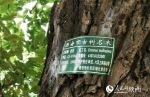 陕西秦岭国家公园创建获批 秦岭保护“重磅加码” - 西安网