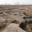 镐京遗址发现西周时期排水管道及道路遗迹 - 西安网