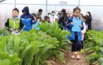 西安市曲江第一小学教育集团开展“助农劳作小能手”爱心公益活动 - 西安网