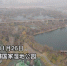 关关雎鸠 在河之洲：数千鸬鹚齐聚西安浐灞国家湿地公园 - 西安网